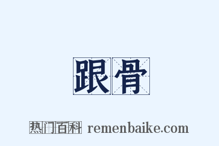 跟骨是什么意思的图片